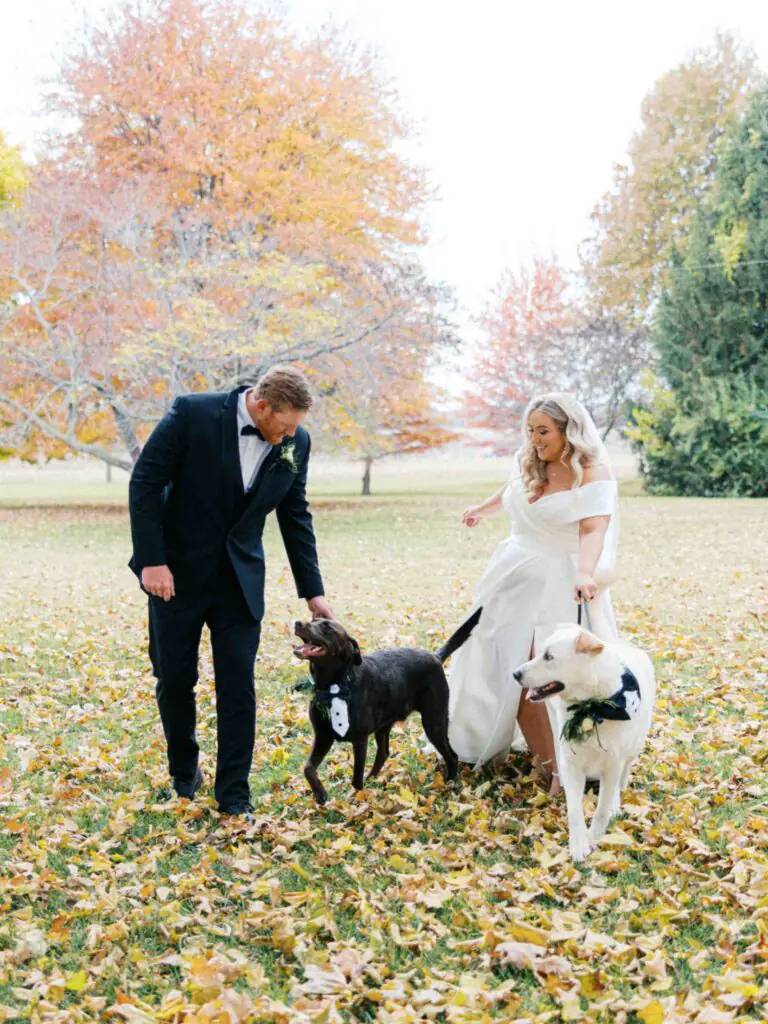 STL-WEDDING-TIMELESS-PHOTO-FILM-VERTICAL-6